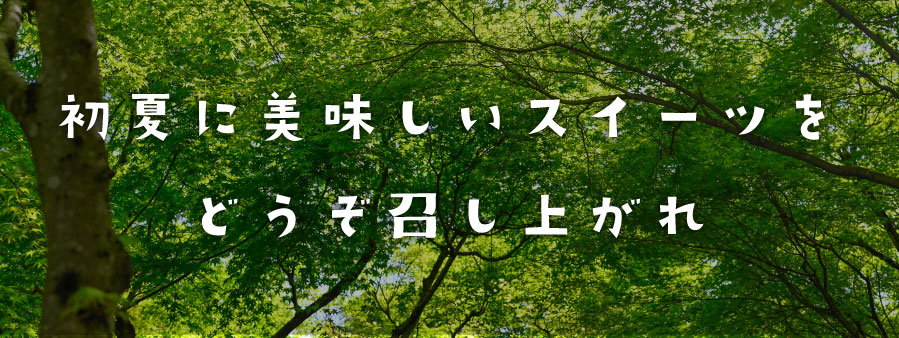 初夏オススメひんやりスイーツ