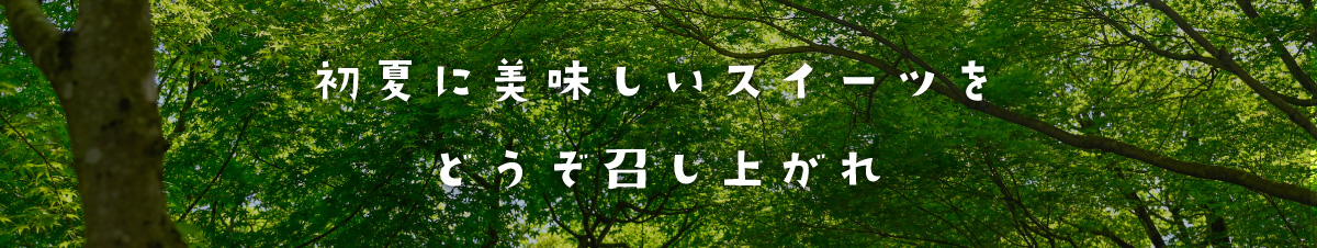 初夏オススメひんやりスイーツ