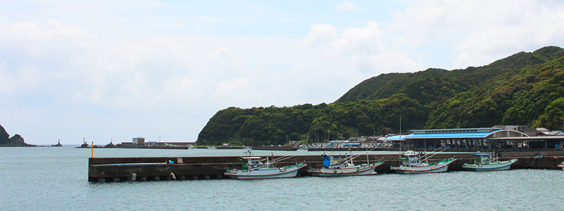 高知県の西南に位置する土佐清水市へ