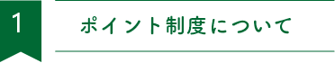 ポイント制度について