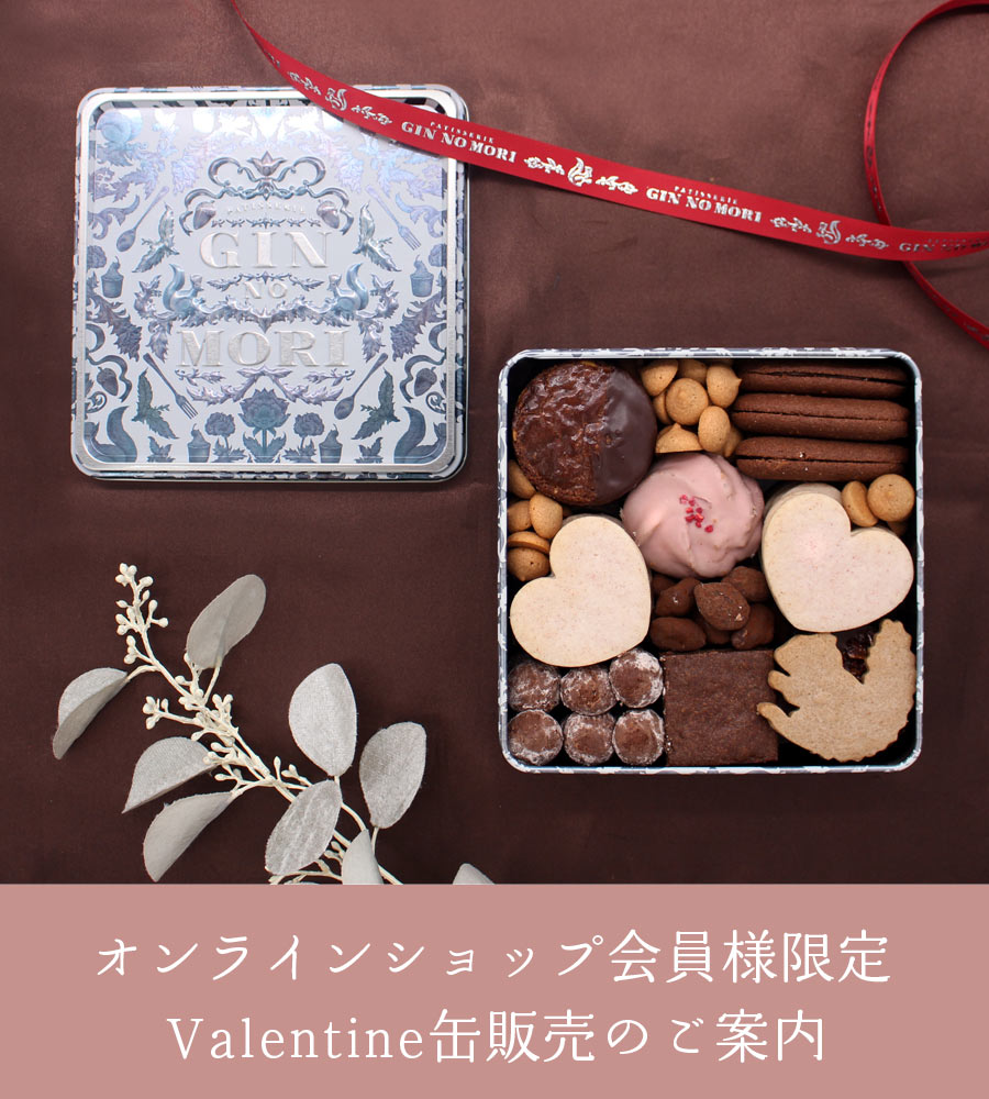 ぎん様専用